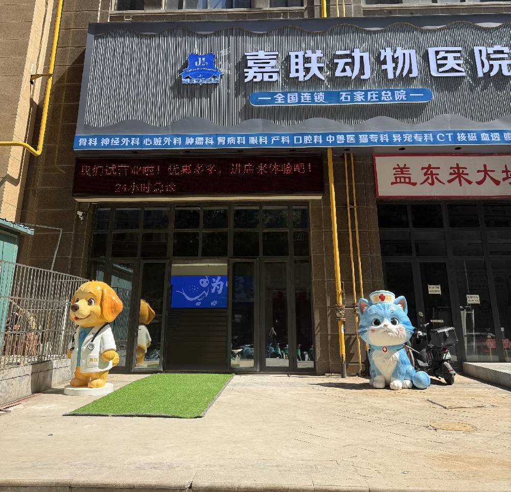 石家庄宠物医院照片不带电话.jpg