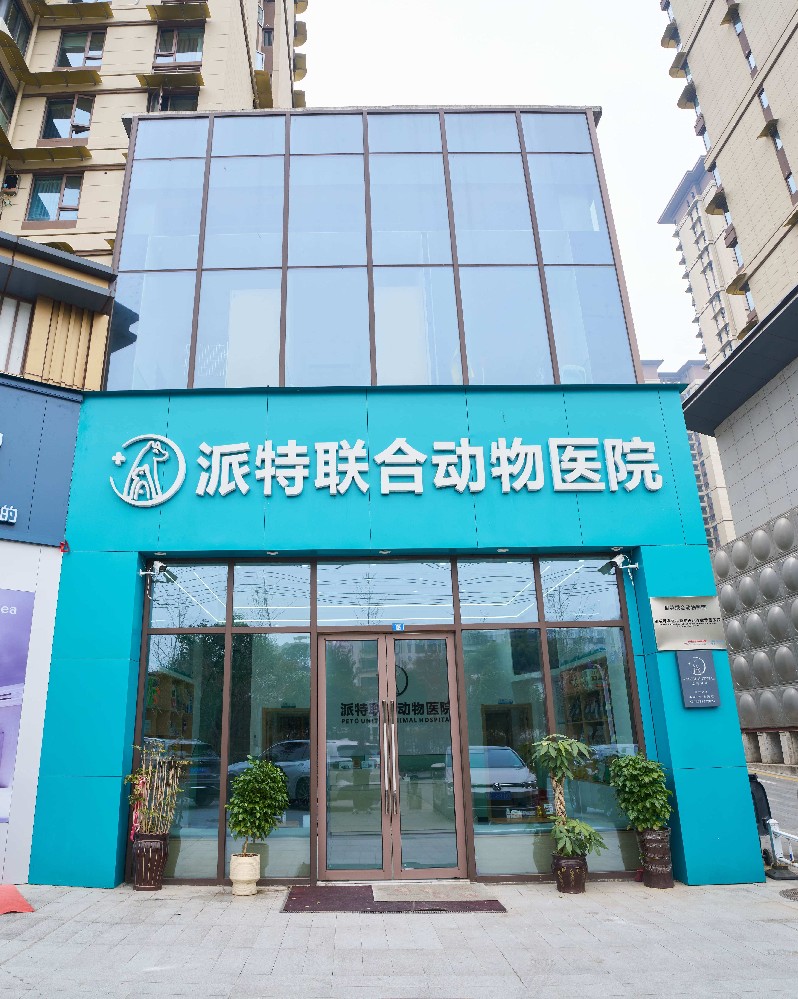 小照片门头.jpg